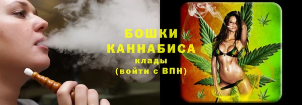 гидра Переславль-Залесский