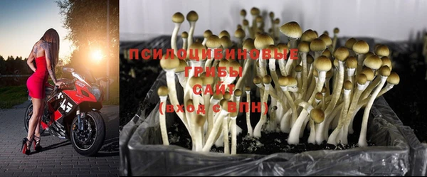 бошки Абинск
